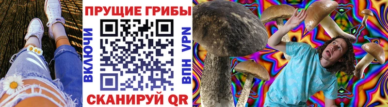 Псилоцибиновые грибы Magic Shrooms  Прохладный 