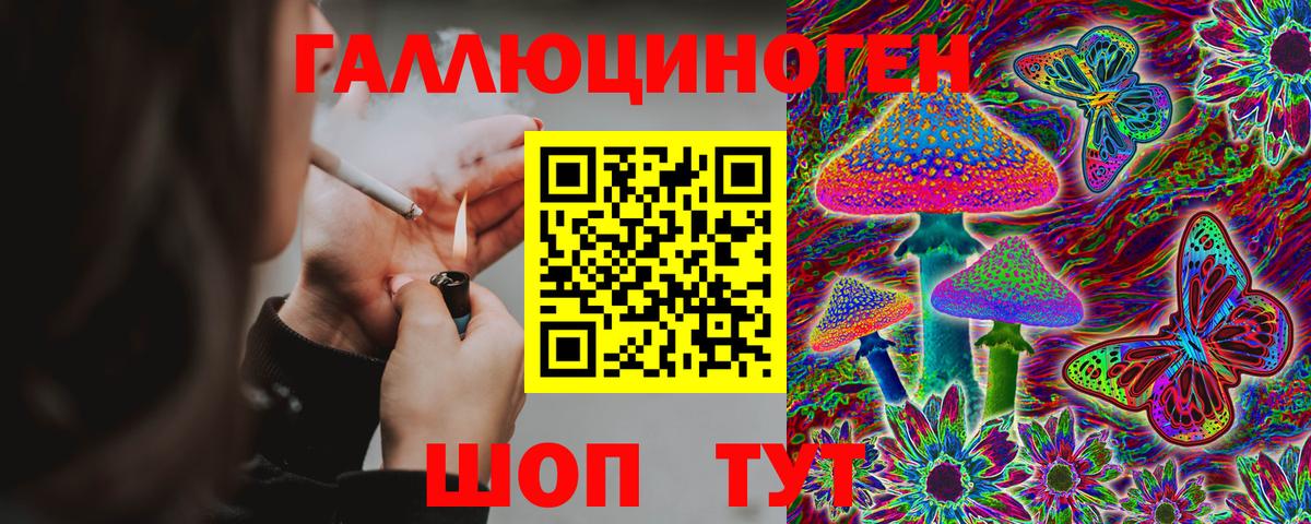 Галлюциногенные грибы прущие грибы  Прохладный 