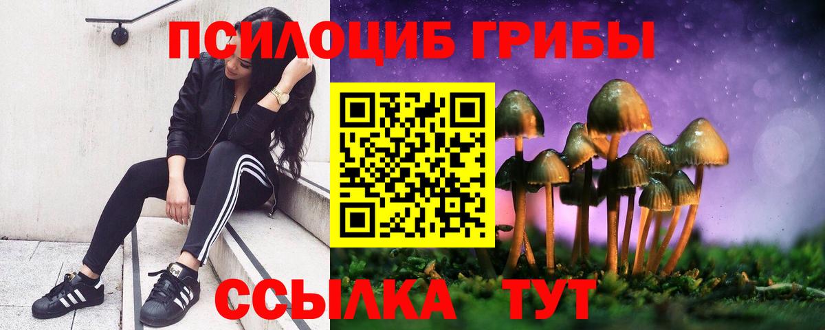 Галлюциногенные грибы ЛСД Прохладный