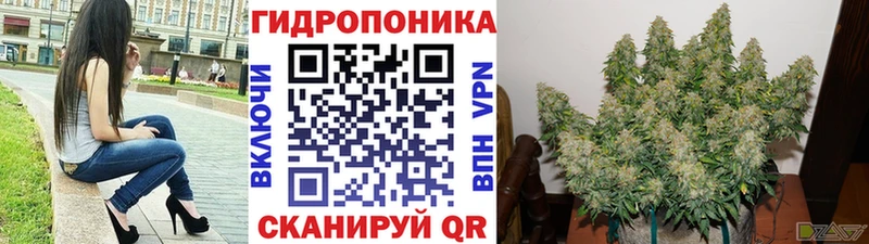 Конопля план  маркетплейс официальный сайт  Прохладный 