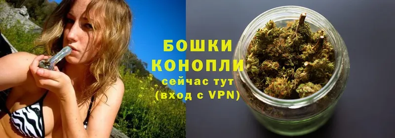 Каннабис OG Kush  купить наркотики цена  Прохладный 