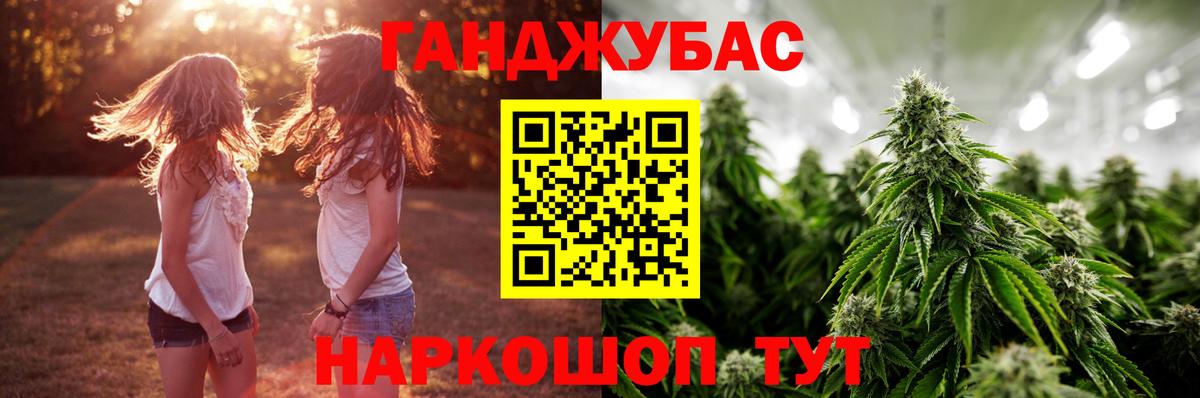 Марихуана гибрид Прохладный
